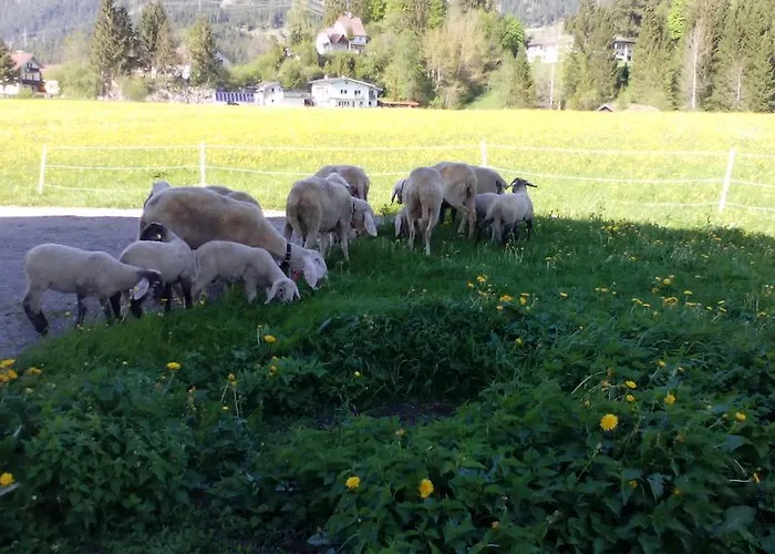 Haus Haemmerle Ройте